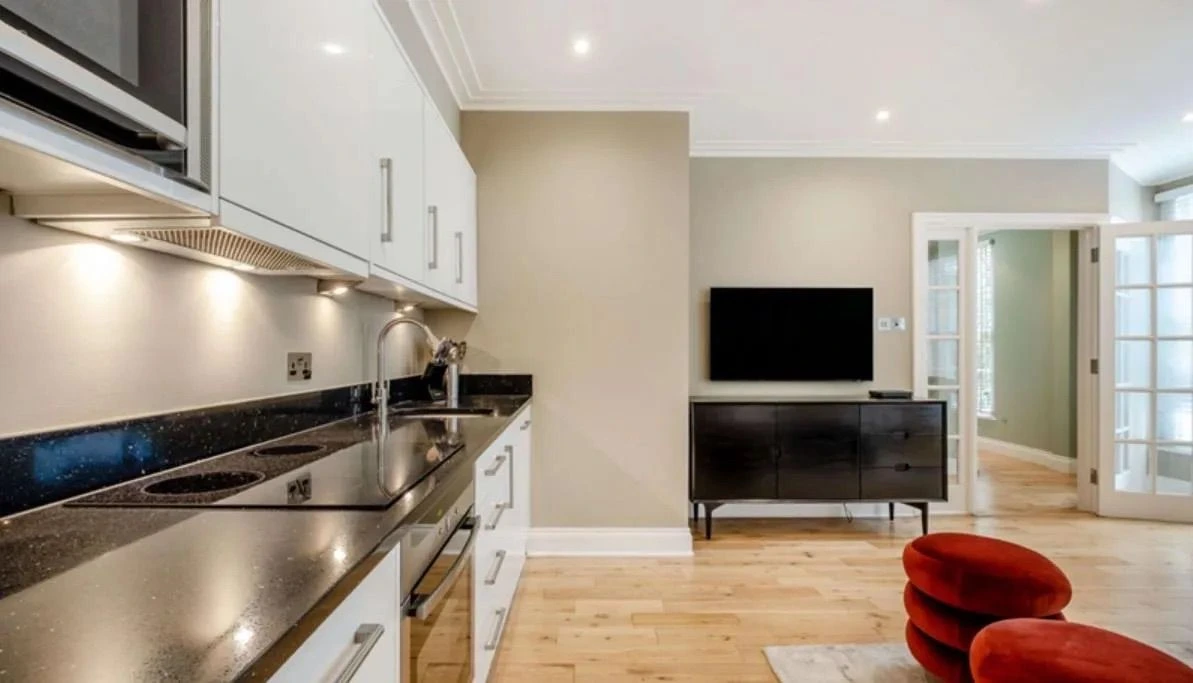 Bright kitchen-living space with high-end finishes